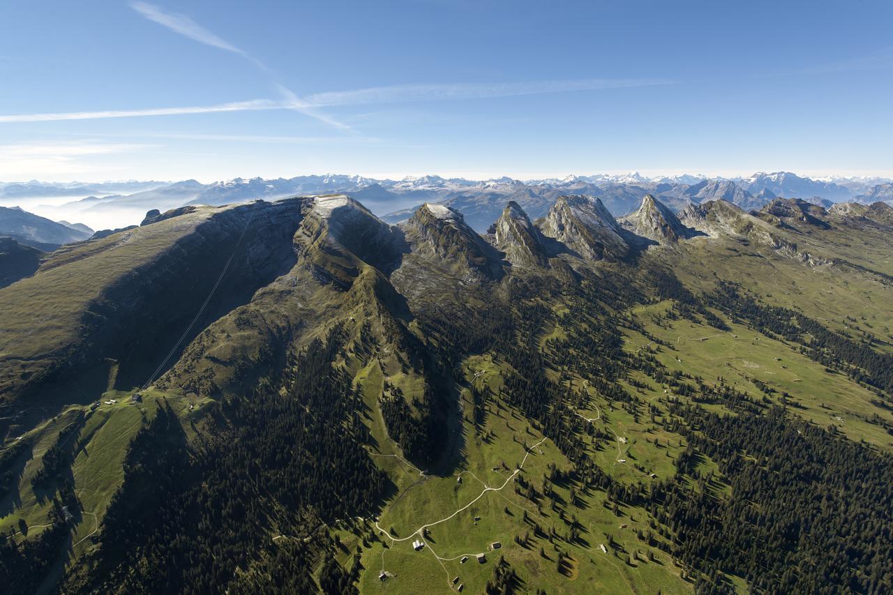 Hotel Stump's Alpenrose Wildhaus Exterior foto